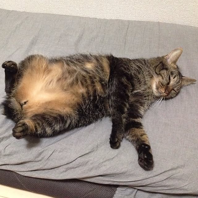 mikanさんの実例写真