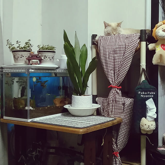mntcさんの実例写真