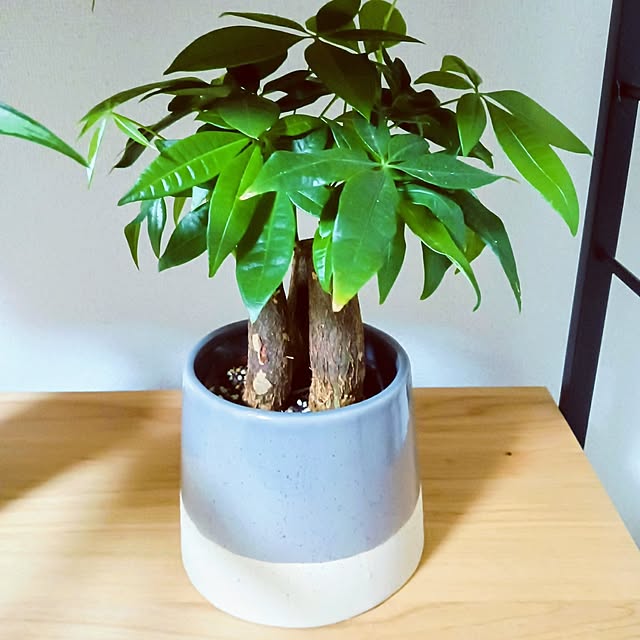 hanachanさんの部屋