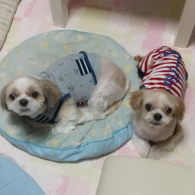 ronさんの実例写真