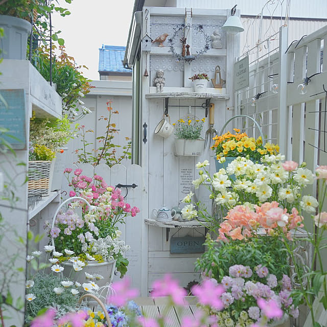 KNさんの実例写真