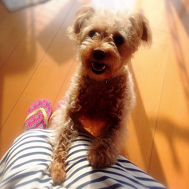 yさんの実例写真