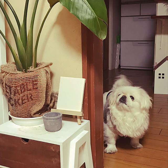 marimoさんの実例写真