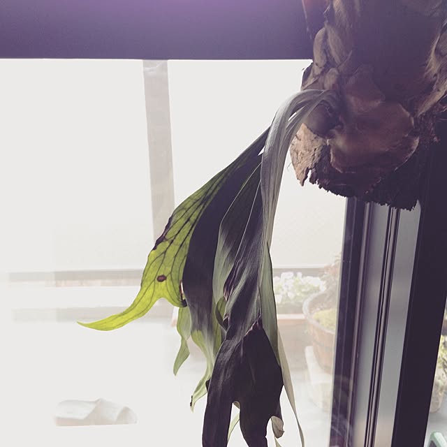 aknb08さんの実例写真