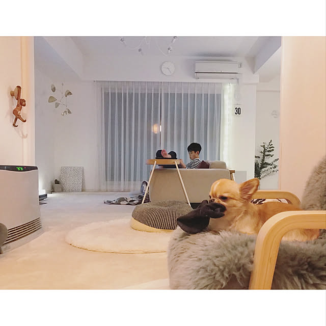 haruhinaさんの実例写真