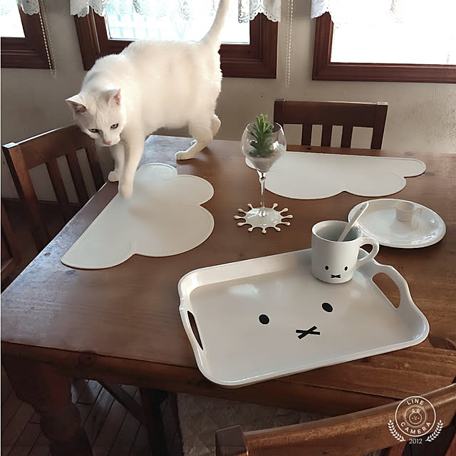 Ohigeさんの実例写真