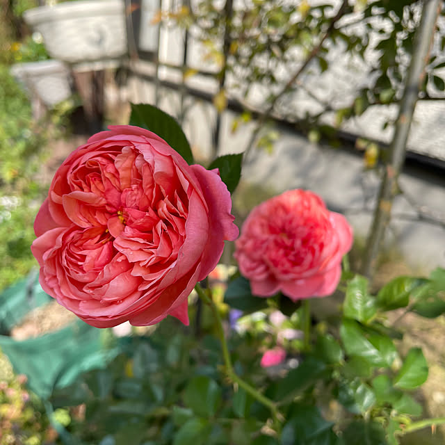 natsumiさんの部屋