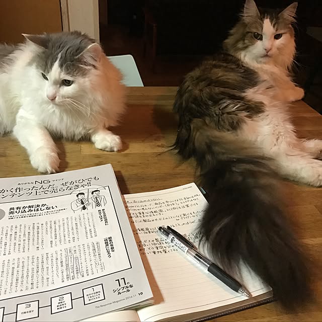 bellさんの実例写真