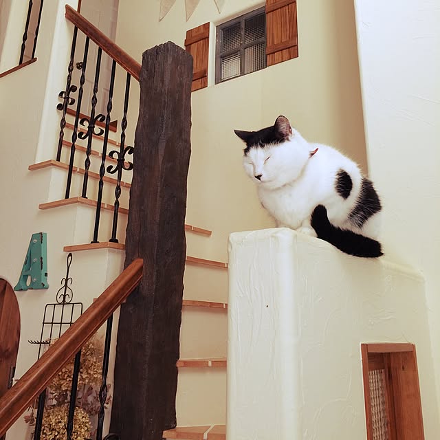 ktysさんの実例写真