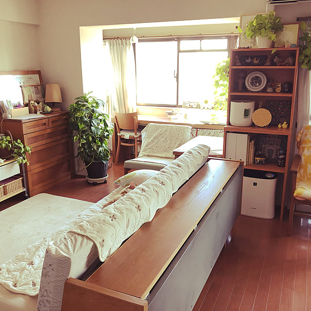 uchidaizuさんの実例写真