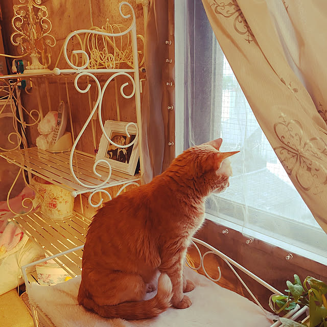 asuminさんの実例写真