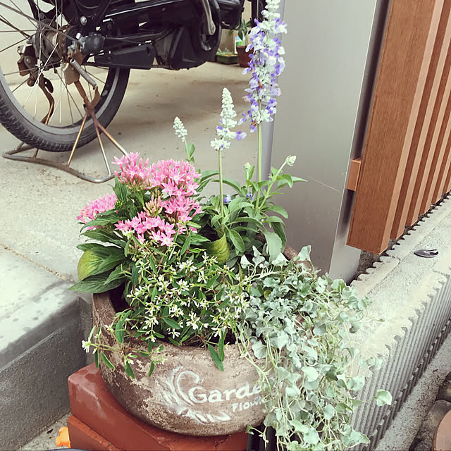 ojyoさんの実例写真