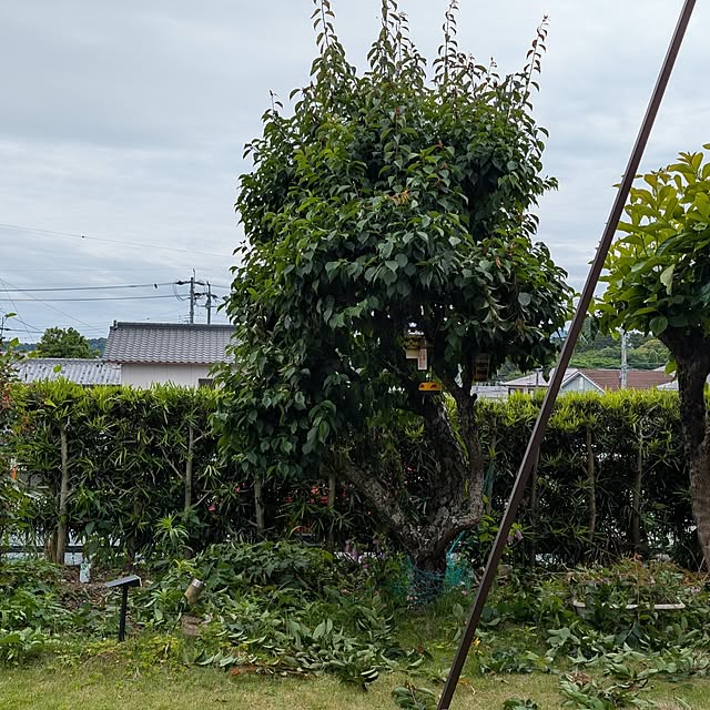 fuchan0930さんの部屋
