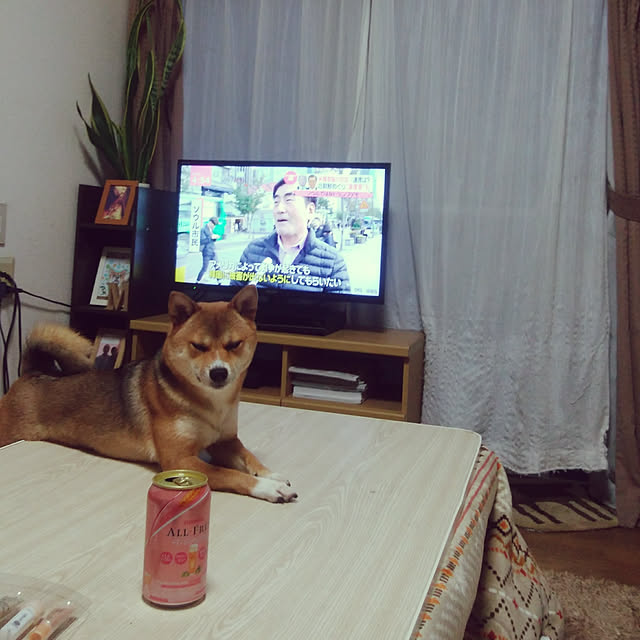 mameさんの実例写真