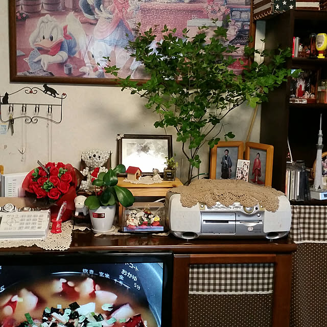hitomiさんの実例写真