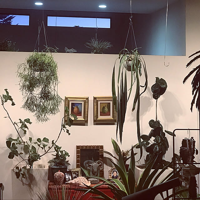 ringoさんの実例写真