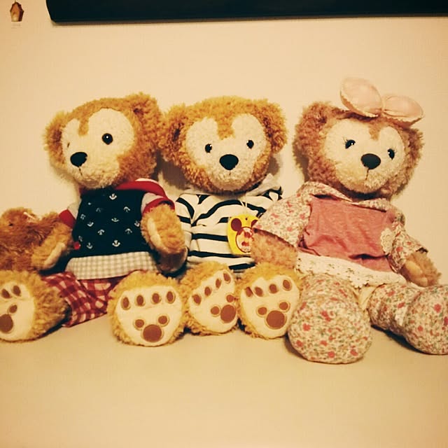 Satopanさんの実例写真