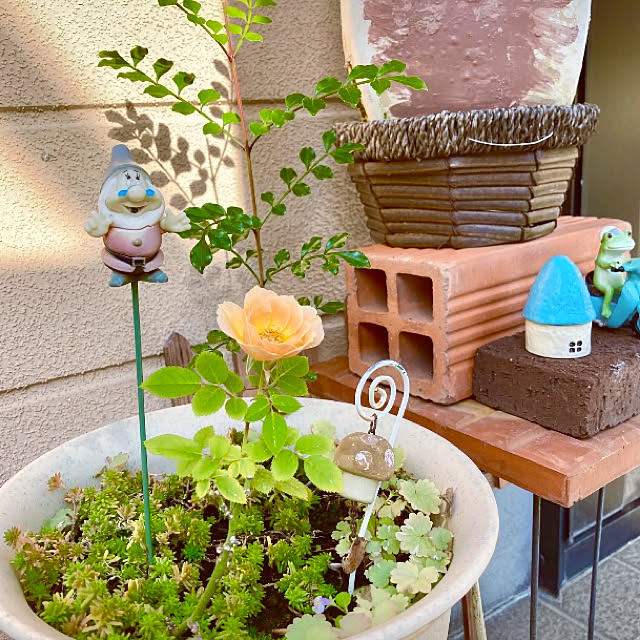 takakoさんの実例写真
