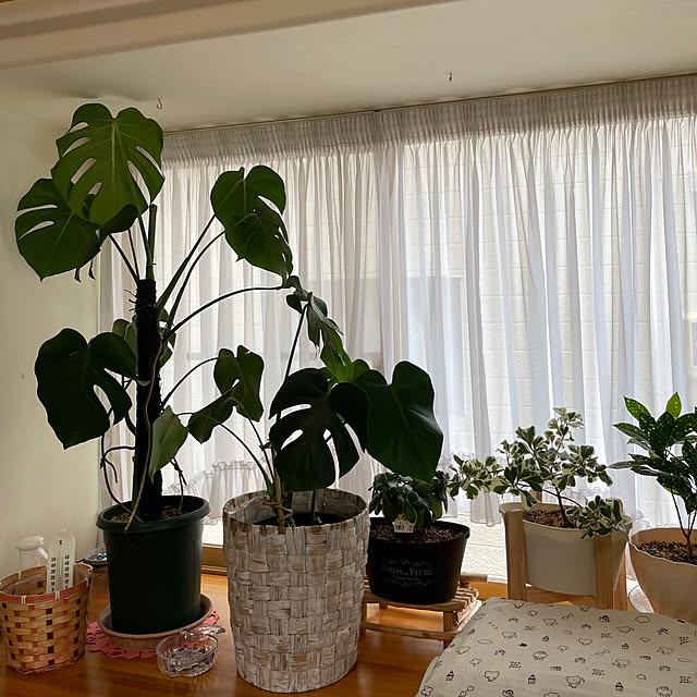 kakoさんの部屋