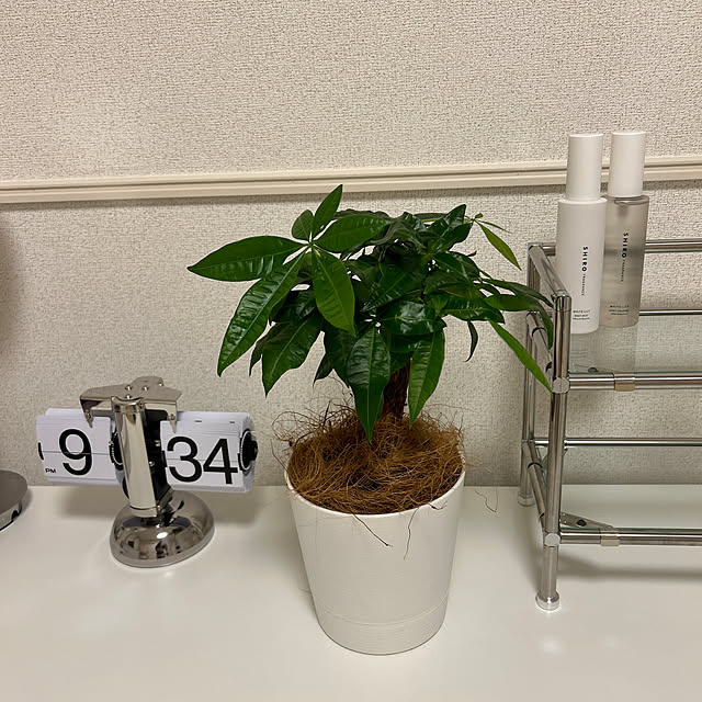 kuさんの実例写真