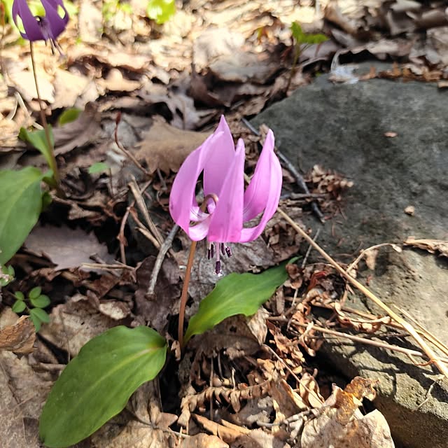 kiraさんの実例写真