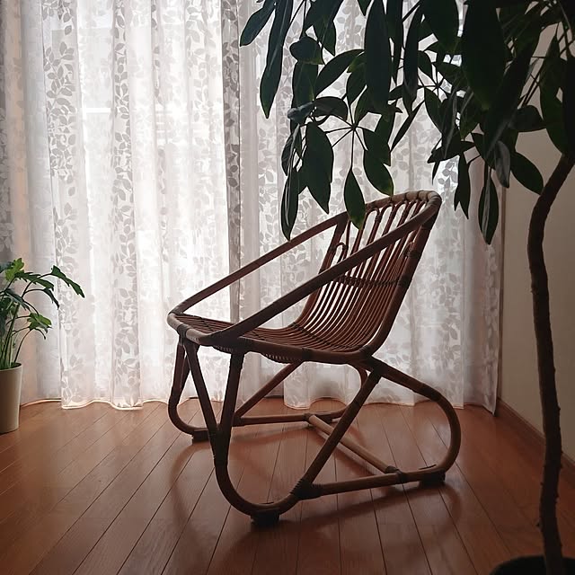 Mi-koさんの実例写真