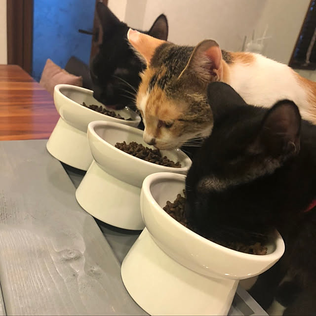 mimaさんの実例写真
