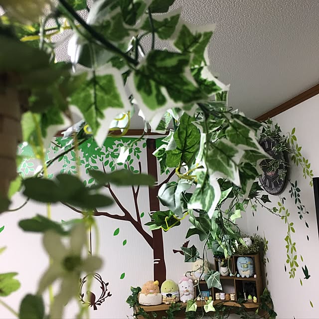 YuwUnknownさんの実例写真