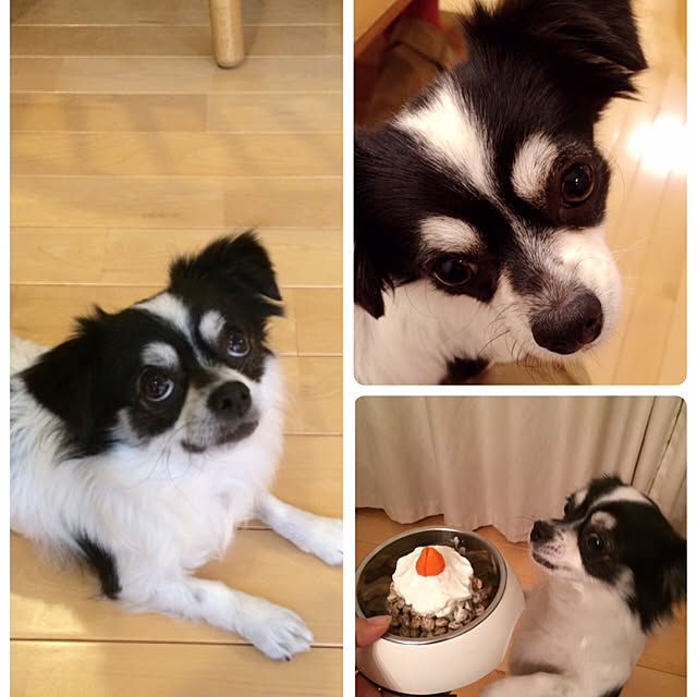 yukkoさんの実例写真