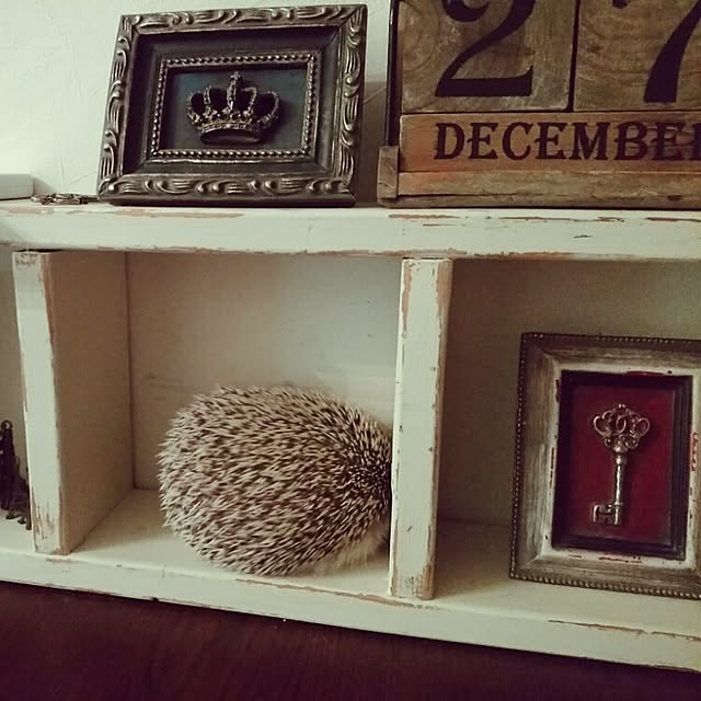 kuruさんの実例写真