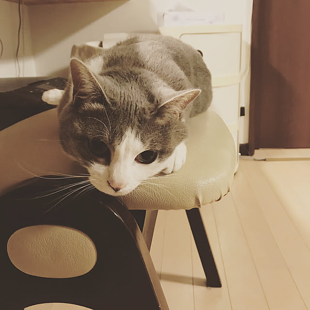 chicchiさんの実例写真
