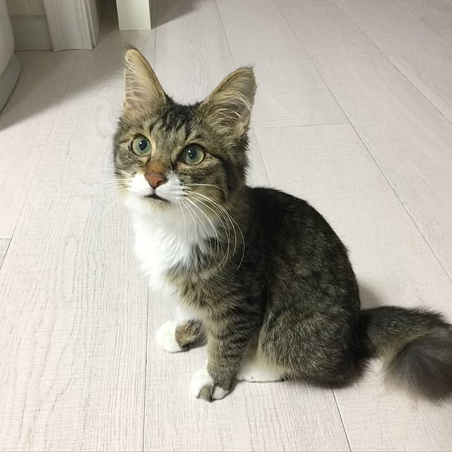 yuchiさんの実例写真