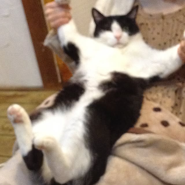 sorakumoriさんの実例写真