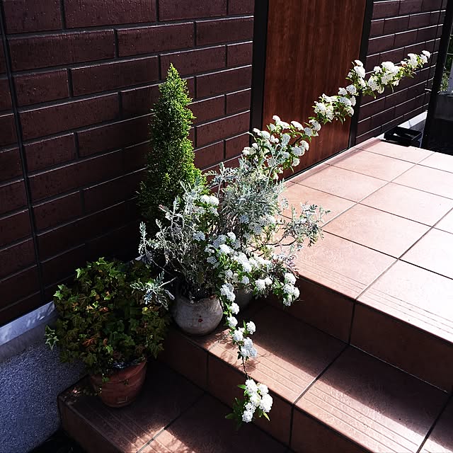 ceylonさんの実例写真