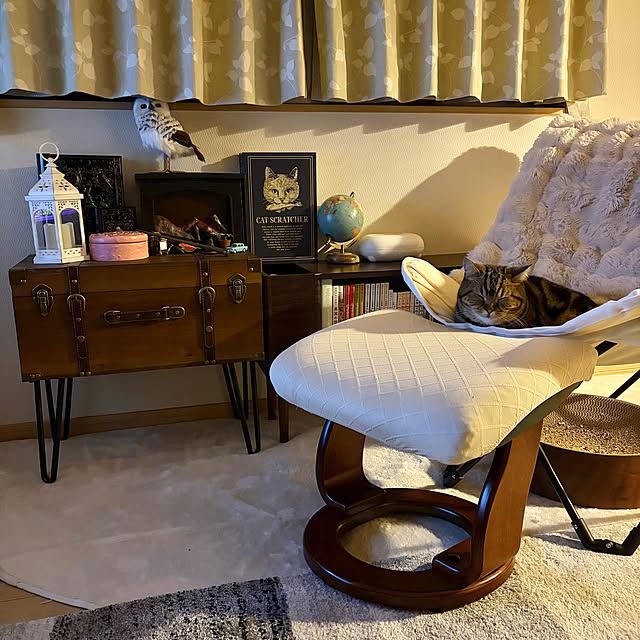 chiiさんの実例写真