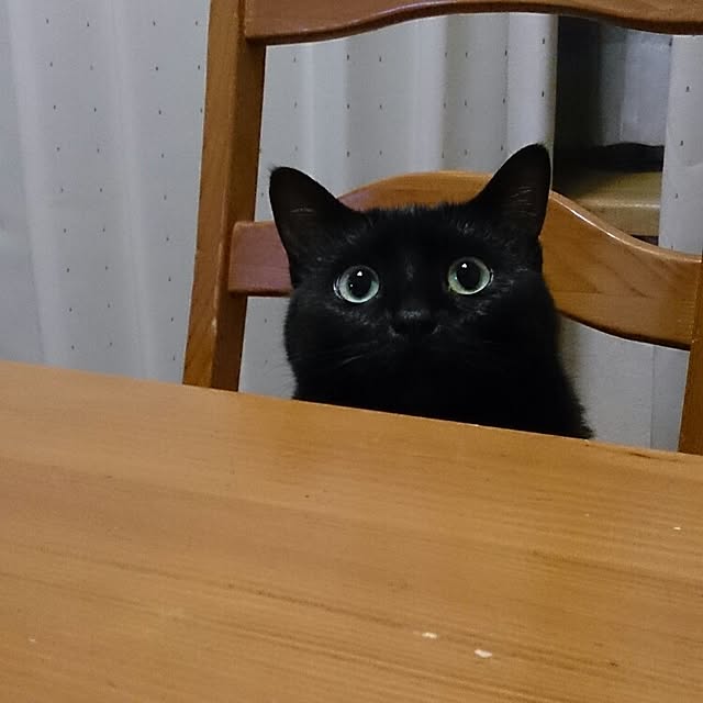 naru2014さんの実例写真