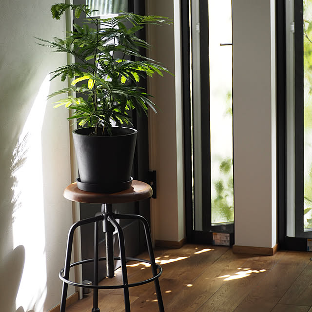 Sakkinさんの部屋