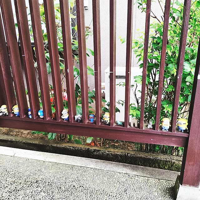 1kanokyonさんの部屋