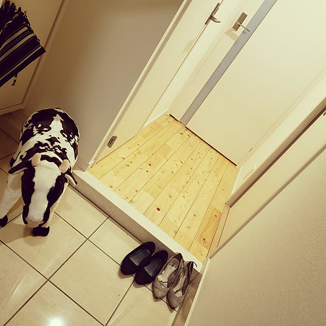 tomo_o.r_yさんの実例写真
