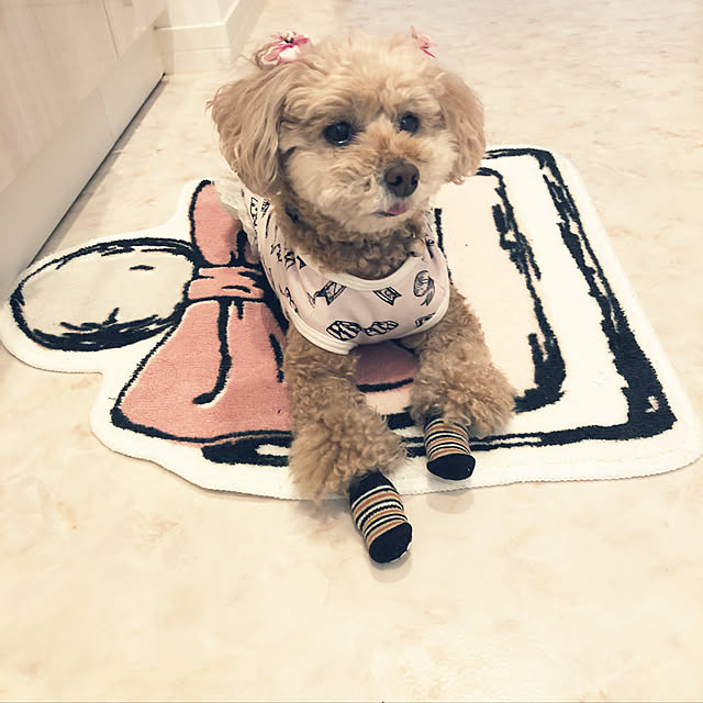 coronさんの実例写真