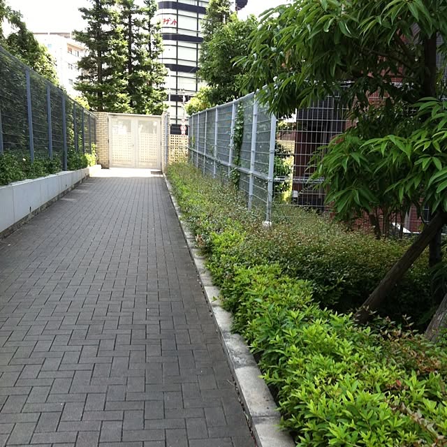 cyokotaroさんの実例写真