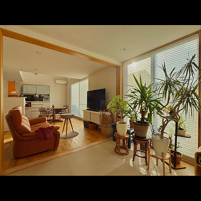 tamabaka1971さんの部屋