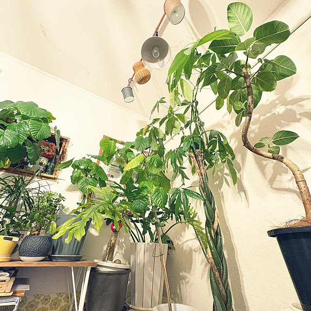 hirariさんの部屋