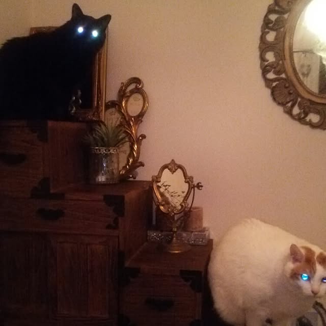 ugさんの実例写真