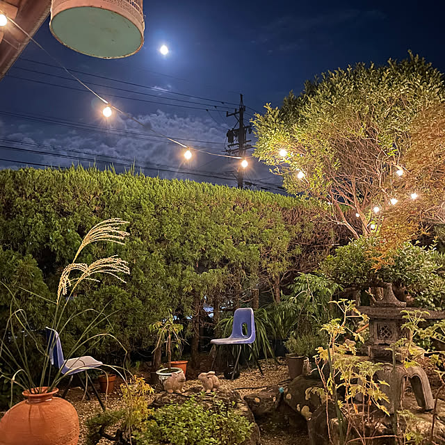 shin0719さんの実例写真