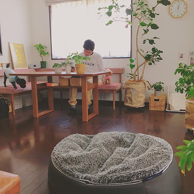 risaさんの実例写真