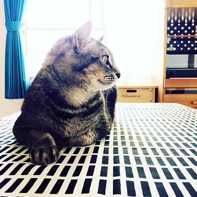 5nyansさんの実例写真