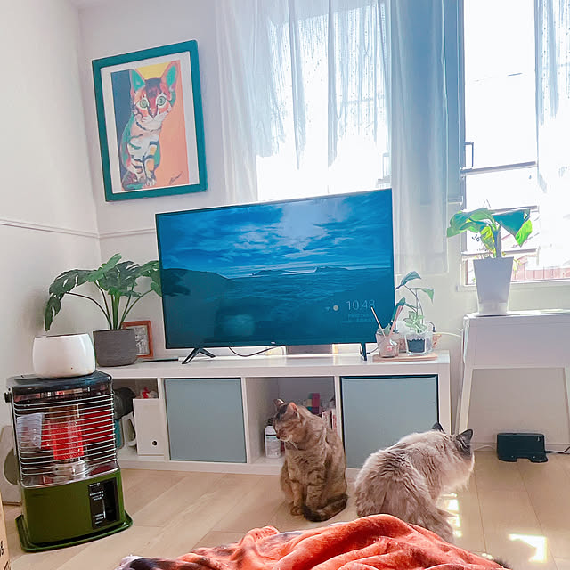 cocoさんの部屋