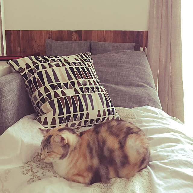 momijiさんの実例写真