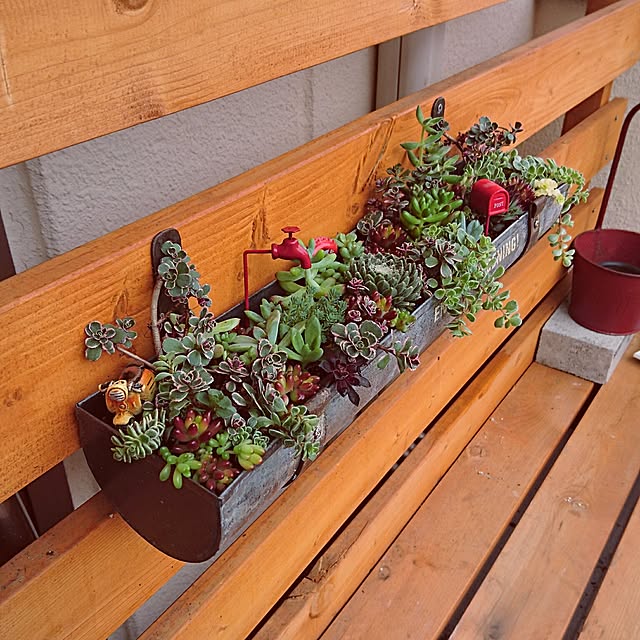 cocosorasakuさんの実例写真